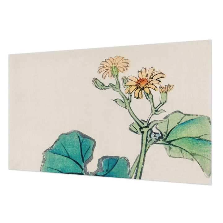 Fotótapéta Falra, Wallfluent, Virág és levelek, Fehér, 416 x 254 cm, Vlies, Dekoráció, 010100060100000017994