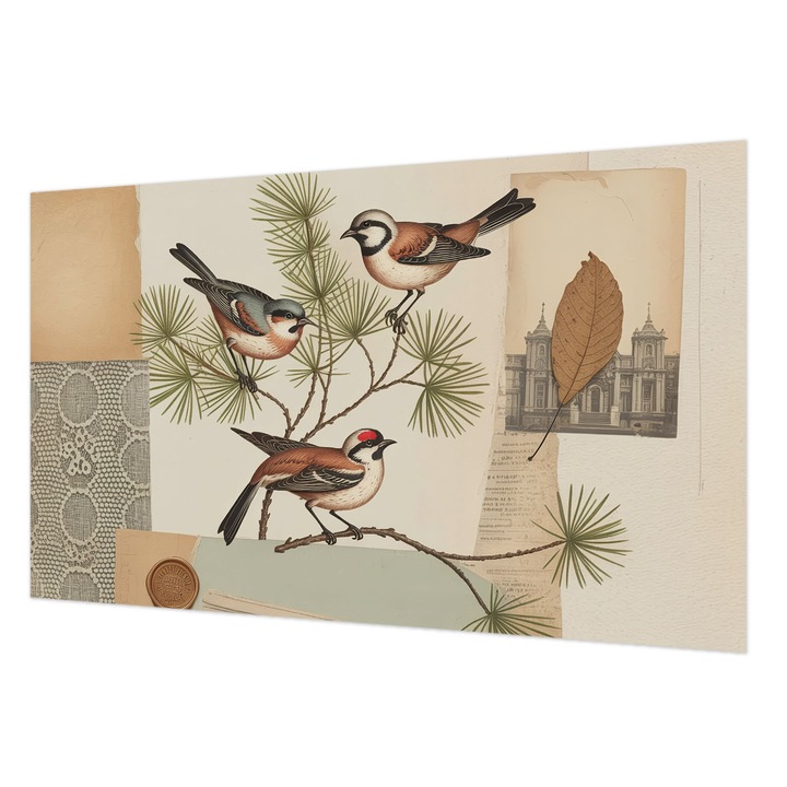 Fotótapéta Falra, Wallfluent, Colaj de pasari, Maro, 416 x 254 cm, Decorativ, Pentru Living, Hol, 010100060100000284744