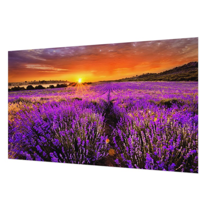 Fali Fotótapéta, Wallfluent, Apus de soare cu lavanda, Violet, 416 x 254 cm, Decorativ, Pentru Birou, 010100060100000001765