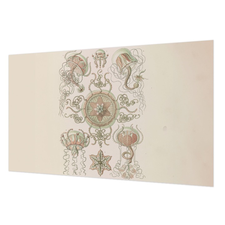 Fali Fotótapéta, Wallfluent, Lumea subacvatica, Bej, 416 x 254 cm, Art Deco, Usor De Instalat, 010100060100000285375