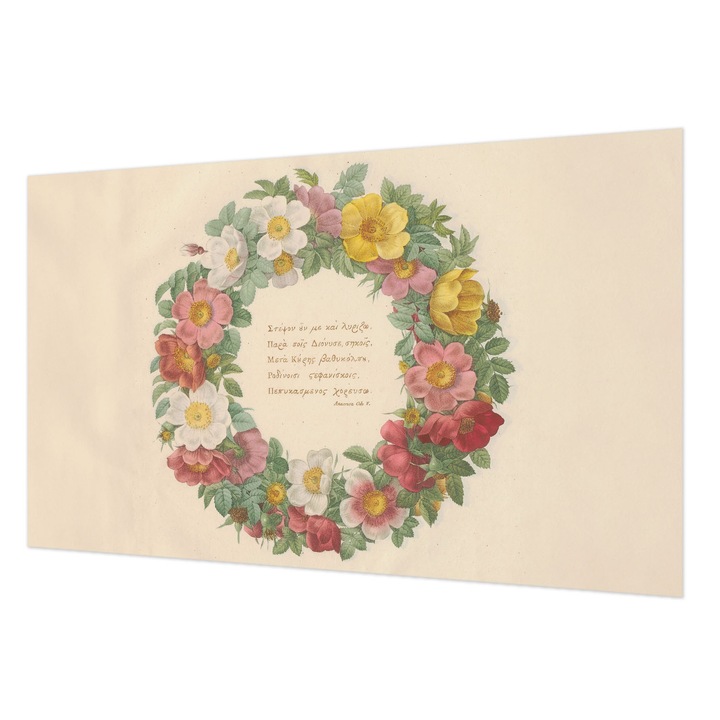 Fotótapéta De Perete, Wallfluent, Coroana florala, Gri, 416 x 254 cm, Art Deco, Usor De Instalat, 010100060100000285382