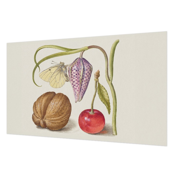 Fotótapéta De Perete, Wallfluent, Planta fluture, Cremos, 416 x 254 cm, Decorativ, Lavabil, 010100060100000285483