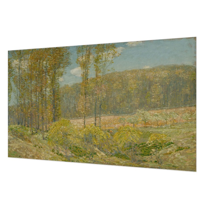 Fotótapéta De Perete, Wallfluent, Peisaj forestier, Verde, 416 x 254 cm, Elegant, De Interior, 010100060100000285536