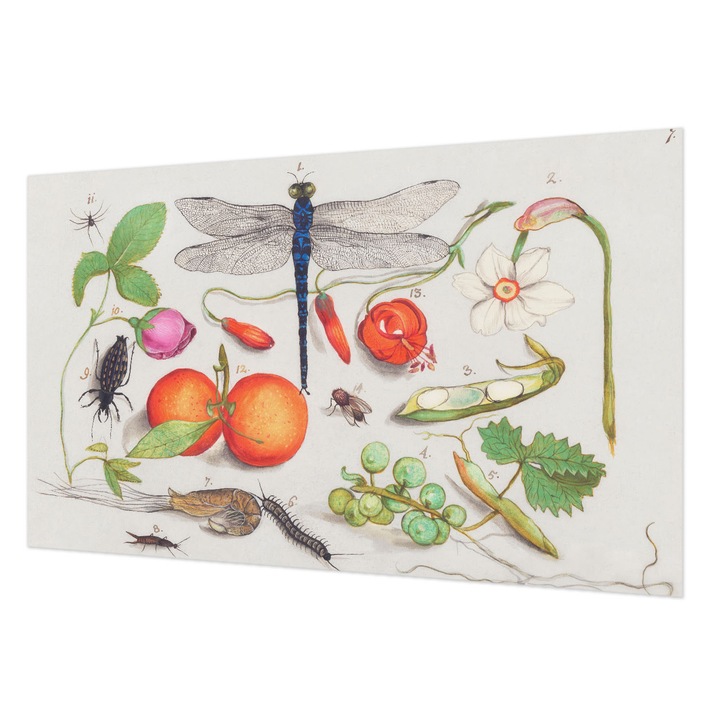 Tapet Vlies De Perete, Wallfluent, Ilustratie naturala, Alb, 416 x 254 cm, Elegant, Pentru Living, Hol, 010100060100000285551