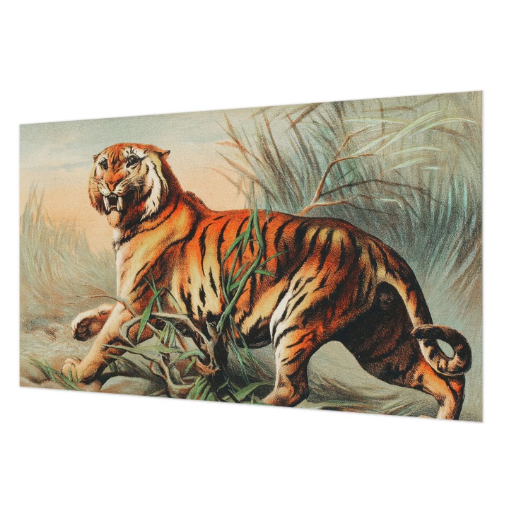 Fotótapéta Modern De Perete, Wallfluent, Natura tigrului, Portocaliu, 416 x 254 cm, Decorativ, Pentru Living, Hol, 010100060100000285578