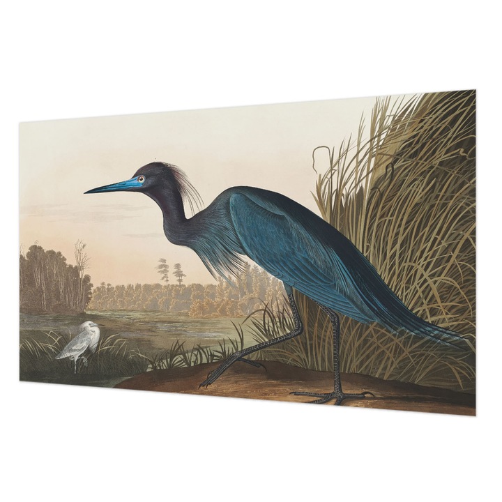 Rola Tapet Vlies De Perete, Wallfluent, Pasari acvatice, Verde, 416 x 254 cm, Art Deco, Pentru Uz Intern, 010100060100000285592