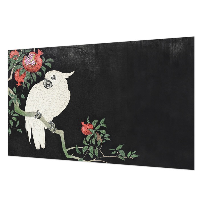 Vlies Fotótapéta De Perete, Wallfluent, Papagal de rodie, Negru, 416 x 254 cm, Art Deco, De Interior, 010100060100000285519