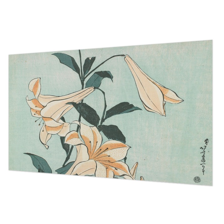 Tapet Vlies De Perete, Wallfluent, Crini delicati, Negru, 416 x 254 cm, Decorativ, Pentru Dormitor, Bucatarie, 010100060100000285546