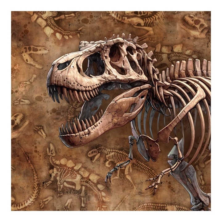 Material textil, Panou din tricot french terry 55x75 cm Excavatii T-rex, bumbac 95%, elastan 5%