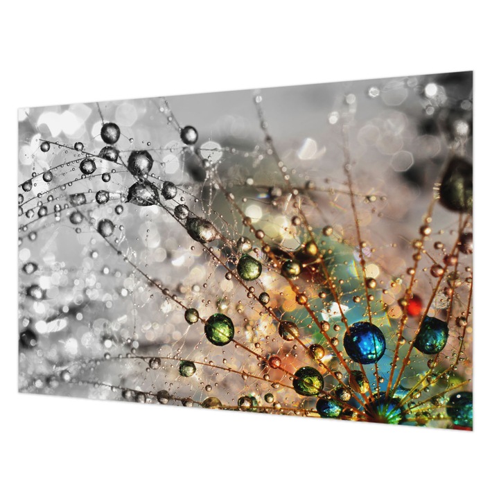 Fotótapéta Falra, Wallfluent, Én harmat ékszereket, Fehér, 104 x 70 cm, Nem Szőtt, Modern Dizájn, 010100060020000006195