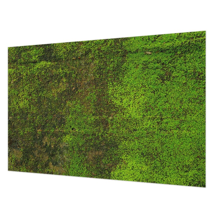 Dekor Tapéta, Wallfluent, Zöld szőnyeg, Zöld, 104 x 70 cm, Nem Szőtt, Stílusos, 010100060020000282897