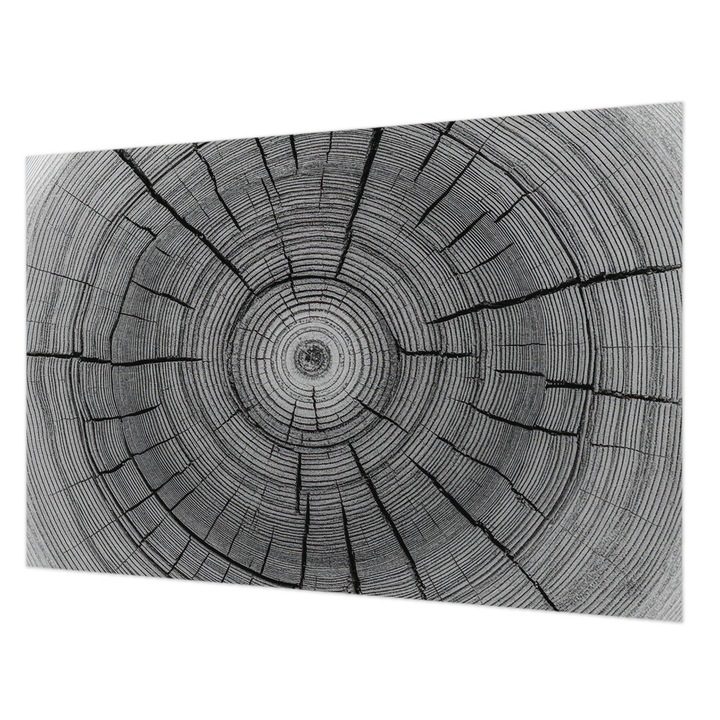 Fotótapéta Falra, Wallfluent, Erdő harmóniája, Fekete és fehér, 104 x 70 cm, Vlies, Öko, 010100060020000285011