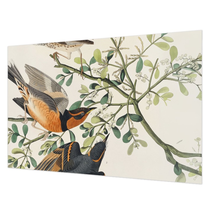 Dekor Tapéta, Wallfluent, Színes madarak, Fehér, 104 x 70 cm, Nem Szőtt, Erős Ragasztó, 010100060020000285475