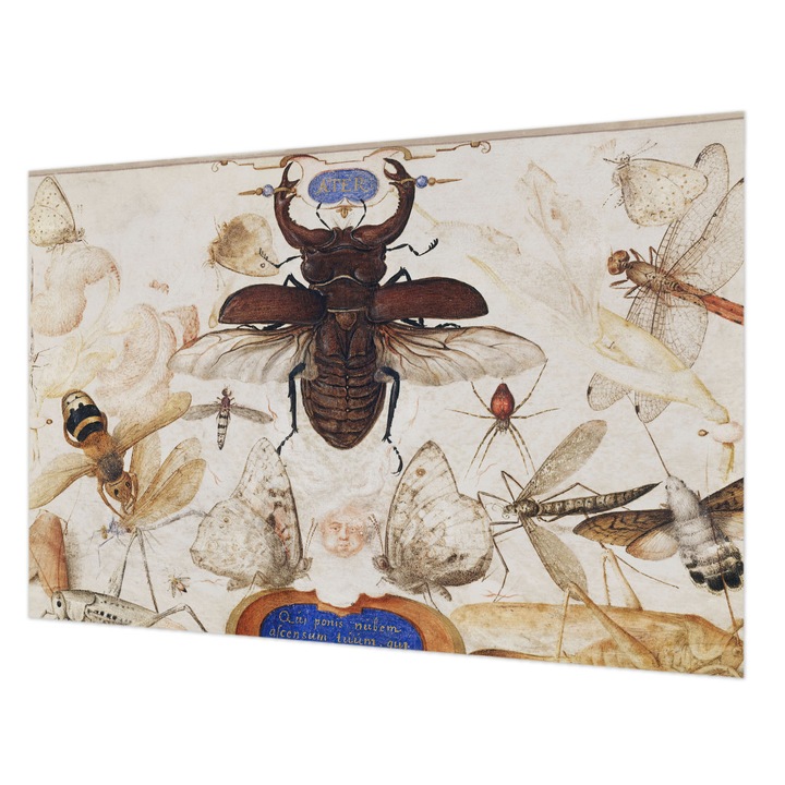 Tapet Wallfluent, Armonie naturala, Alb, 104x70cm, set cu adeziv