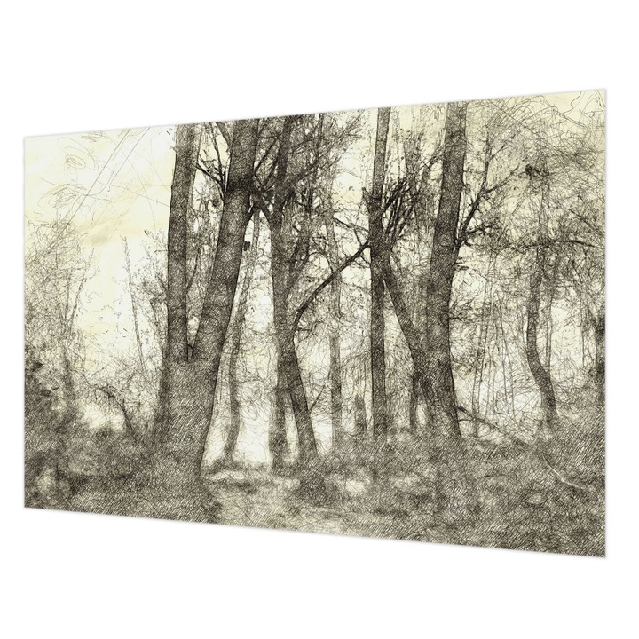 Tapéta Vlies Fali Dekoráció, Wallfluent, Erdei melankólia, Fekete és fehér, 152 x 104 cm, Nem Szőtt, Nappaliba, Szobába, 010100060030000282787