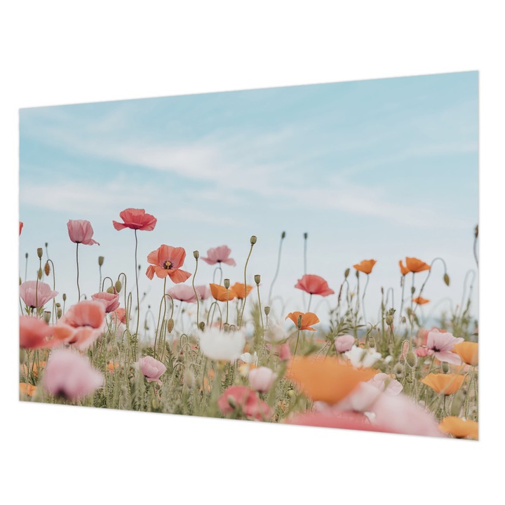 Dekor Tapéta, Wallfluent, Pipacs virágok, Kék, 152 x 104 cm, Nem Szőtt, Élénk Színek, 010100060030000284707