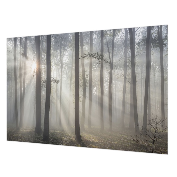 Dekor Tapéta, Wallfluent, Éteri Erdő, Szürke, 152 x 104 cm, Vlies, Modern Belsőépítészeti Dekoráció, 010100060030000285070