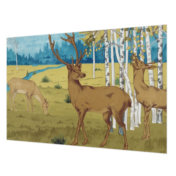 Rola Tapet Vlies De Perete, Wallfluent, Armonia padurii, Verde, 152 x 104 cm, Elegant, De Interior, 010100060030000285499