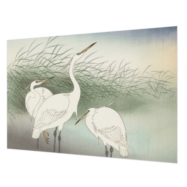 Rola Tapet Vlies De Perete, Wallfluent, Starci in iarba, Alb, 152 x 104 cm, Elegant, Pentru Dormitor, Bucatarie, 010100060030000285554