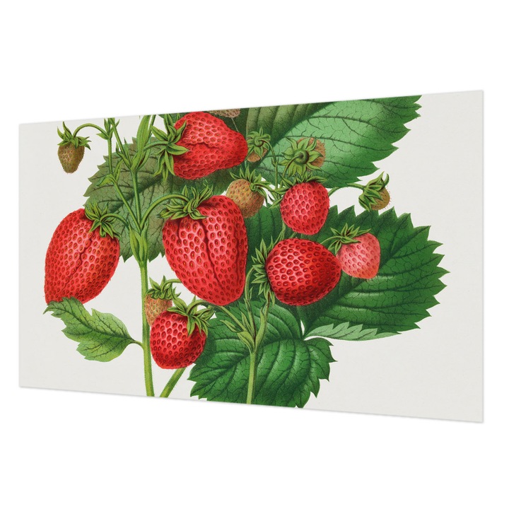 Tapet Wallfluent, Fructe de vara, Verde, 416x254cm, Set cu adeziv inclus