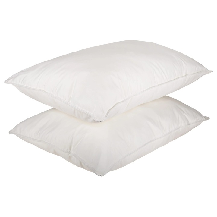 Set 2 Perne Somnart Naturo din pene, 50x70, moale