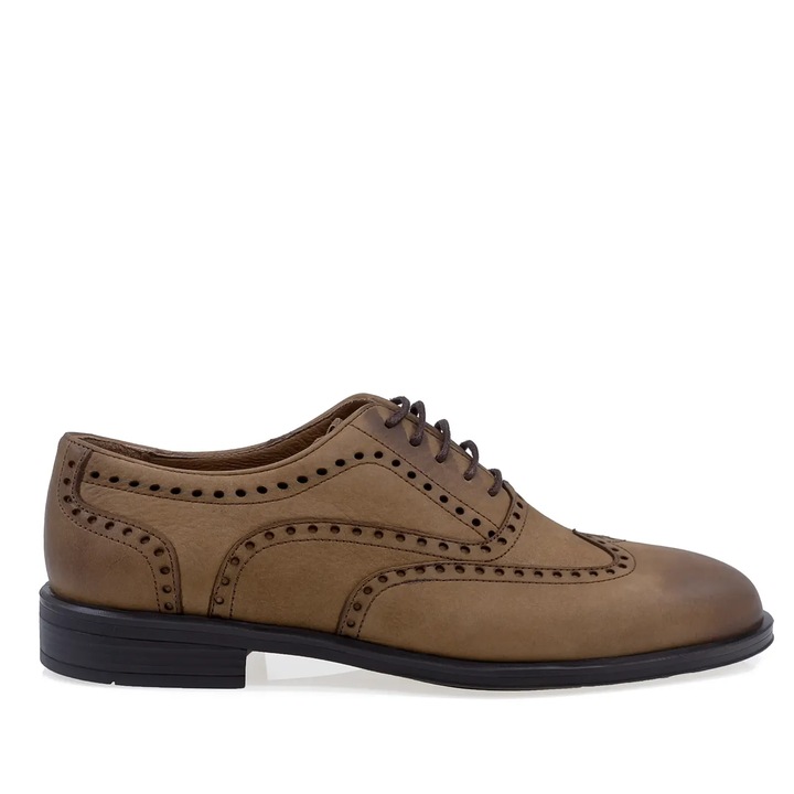 Pantofi barbati casual, Goretti, B38-24-73, Tabac