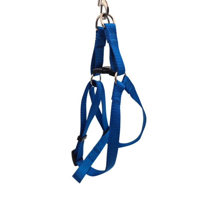 Ham pentru Caini Mici, Petro, Albastru, Ajustabil, Dimensiune S (1.5cm x 30-50 cm), Usor si confortabil de purtat