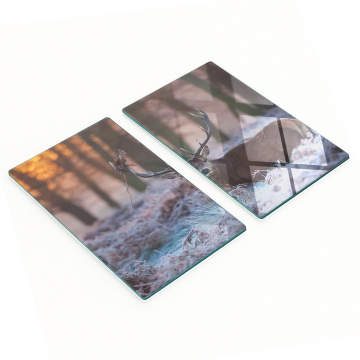 Set de Tavite din Sticla, Tulup, 2x30x52 cm, antiderapante, rezistente la temperaturi ridicate, multicolor