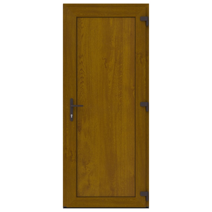 Usa simpla Full Panel 80x170 - Stejar auriu