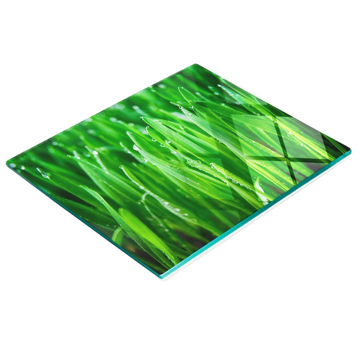 Dekoratív tábla, Tulup, fal-/konyhapult védelem, üveg, 60x52cm, csúszásmentes, magas hőmérsékletnek ellenálló, fű minta