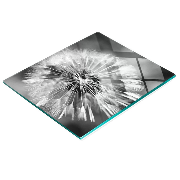 Dekoratív tábla, Tulup, fal/konyhapult védelem, üveg, 60x52cm, csúszásgátló, magas hőmérsékletnek ellenálló, pitypang mintás