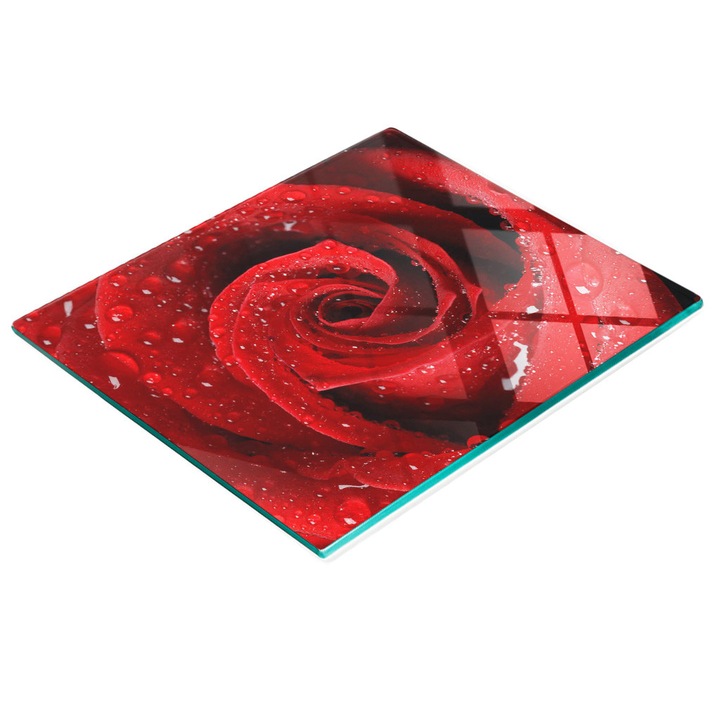 Dekoratív tábla, Tulup, fal-/konyhapult védelem, üveg, 60x52cm, csúszásgátló, magas hőmérsékletnek ellenálló, rózsa mintás