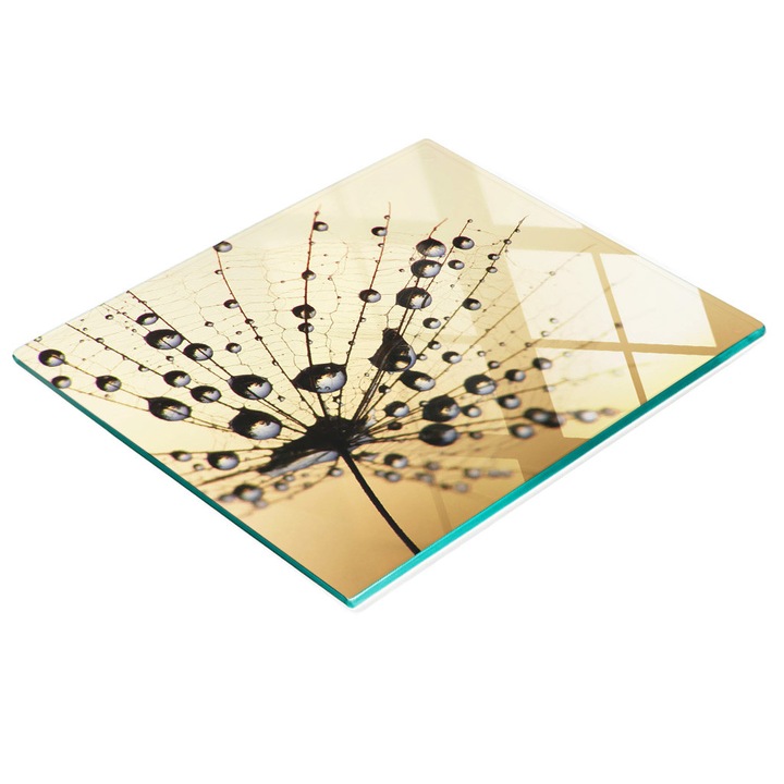 Dekorációs tábla, Tulup, fal-/konyhapult védelem, üveg, 60x52cm, csúszásgátló, magas hőmérsékletnek ellenálló, pitypang mintás