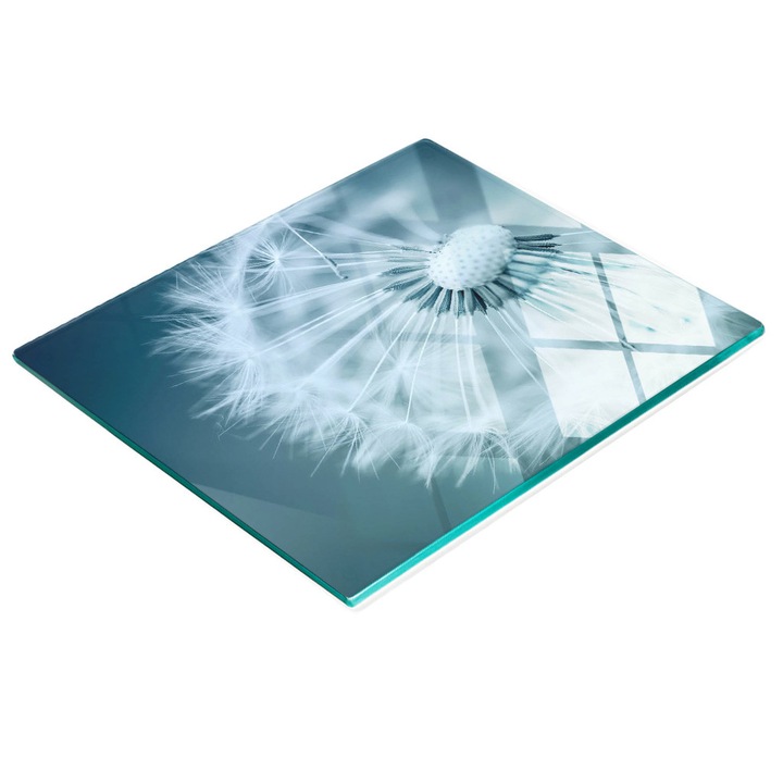 Dekoratív tábla, Tulup, fal-/konyhapult védelem, üveg, 60x52cm, csúszásmentes, magas hőmérsékletnek ellenálló, pitypang mintás