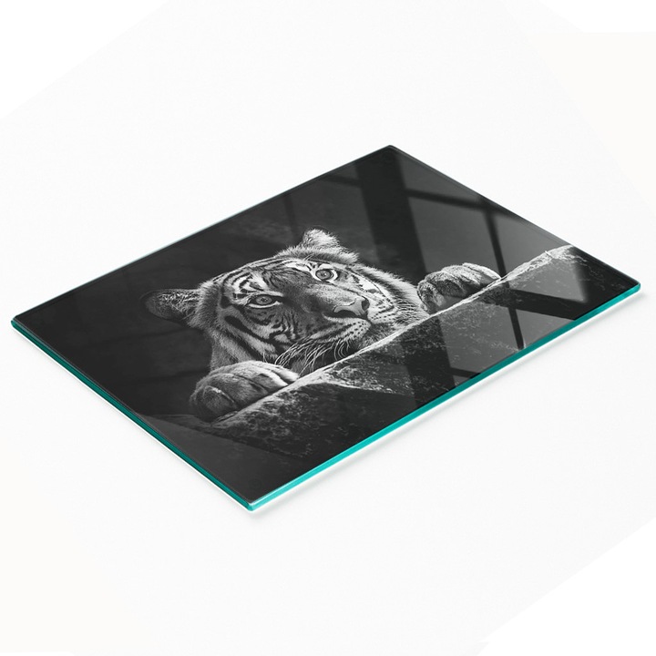 Dekoratív tábla, Tulup, többfunkciós nyílás, 80x52cm, csúszásmentes, magas hőmérsékletnek ellenálló