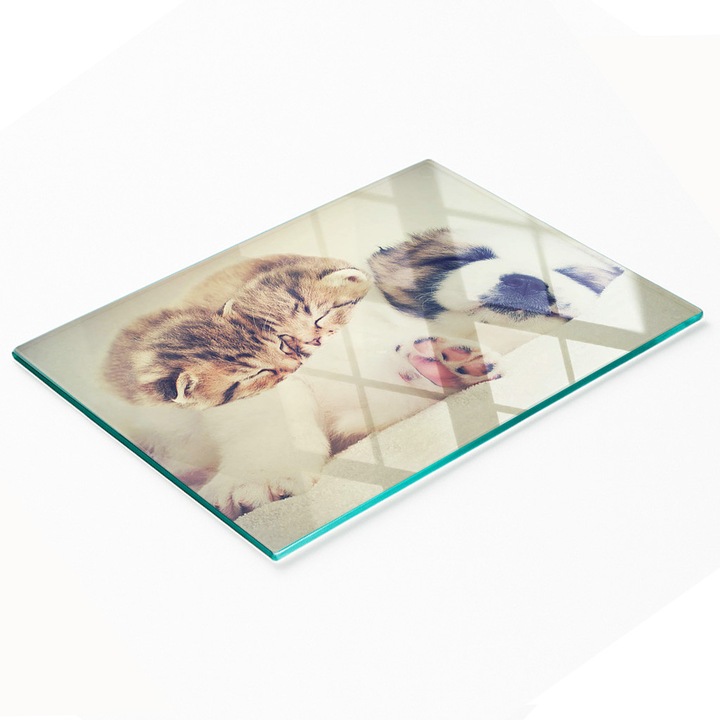 Tulup dísztábla, üveg, 80x52cm, csúszásgátló, magas hőmérsékletnek ellenálló