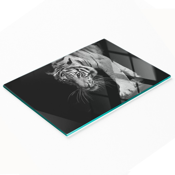 Dekoratív tábla, Tulup, többfunkciós nyílás, edzett üveg, 80x52cm, csúszásmentes