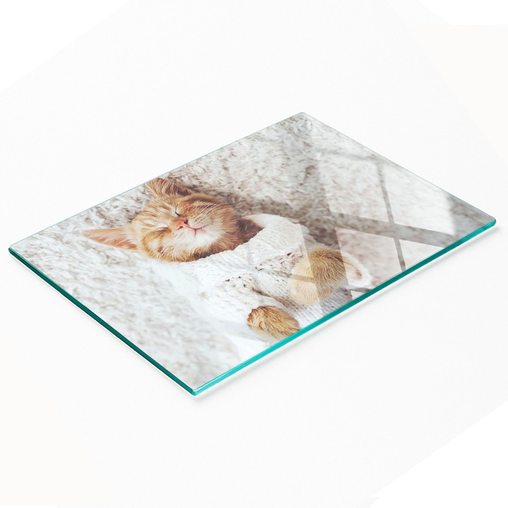 Tulup dekorációs tábla, edzett üveg, 80x52cm, csúszásmentes, magas hőmérsékletnek ellenálló