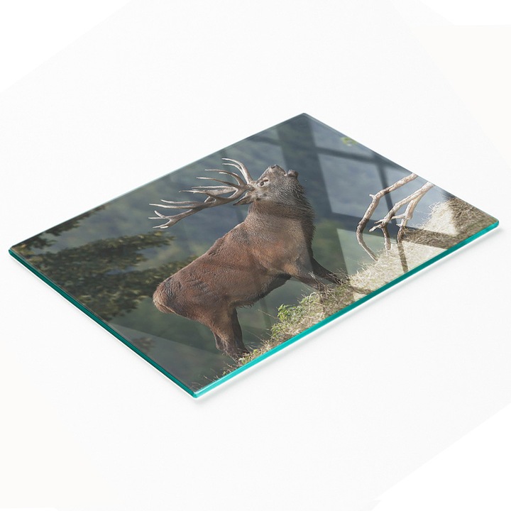 Dekoratív tábla, Tulup, üveg, 80x52cm, csúszásmentes, magas hőmérsékletnek ellenálló