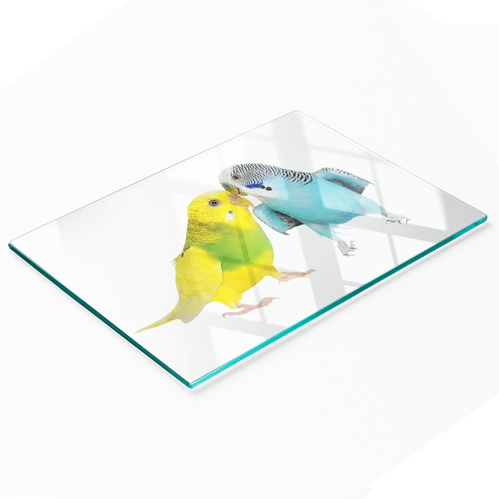 Tulup dekoratív lap, 80x52cm nyílás, edzett üveg, csúszásmentes, tartós nyomtatás