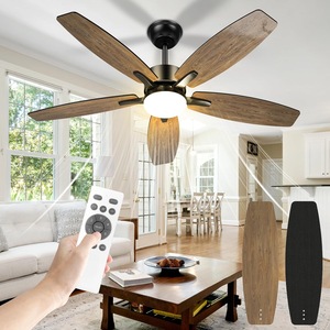 Ventilatoare si racitoare aer