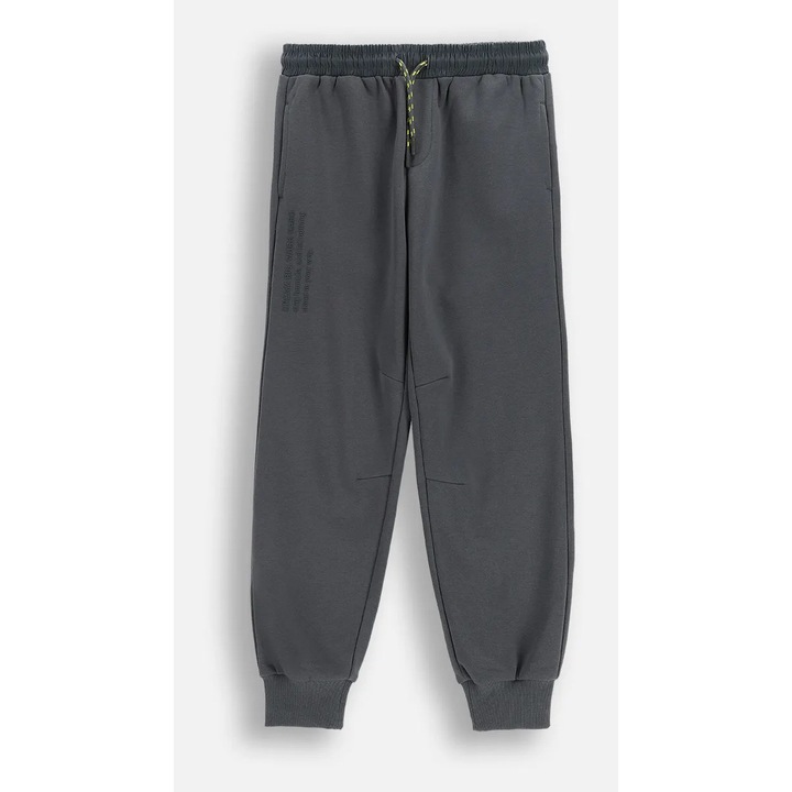 Pantaloni de trening Coccodrillo, gri antracit, 134 cm, pentru baieti