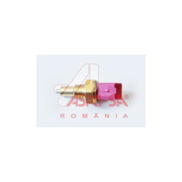 Sonda mers înapoi, ASAM AUTOMOTIVE, 01.07->