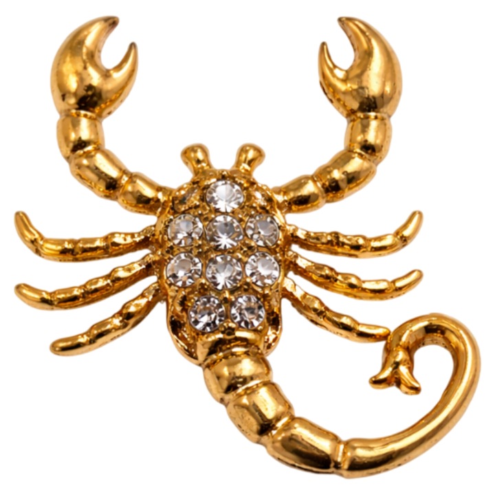 Brosa delicata tip martisor, aurie, zodie, scorpion