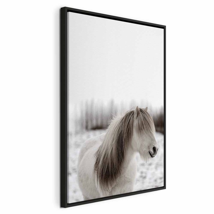 Картина в черна дървена рамка - Конска грива - 80 x 120 см