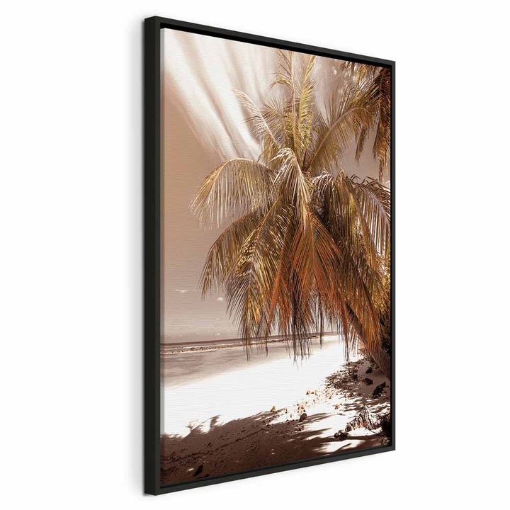 Kép fekete fakeretben - Pálma árnyék - 80 x 120 cm