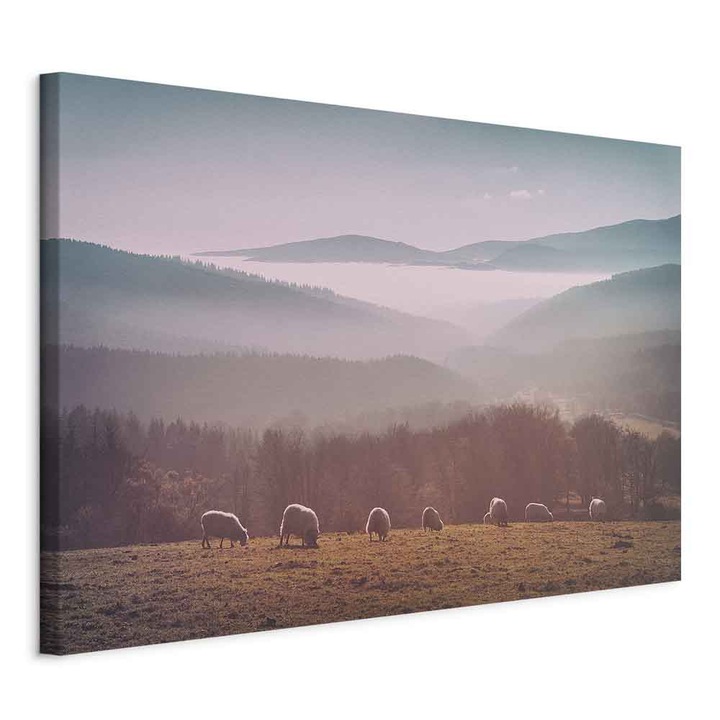 Tablou Standard - Mountain Sheep - 30 x 20 cm