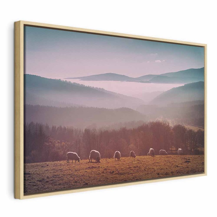 Tablou Intr-un cadru din lemn natural - Mountain Sheep - 90 x 60 cm