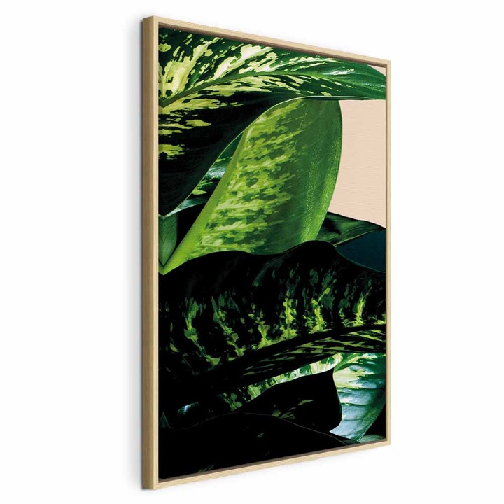 Картина в естествена дървена рамка - Дифенбахия - 40 x 60 см