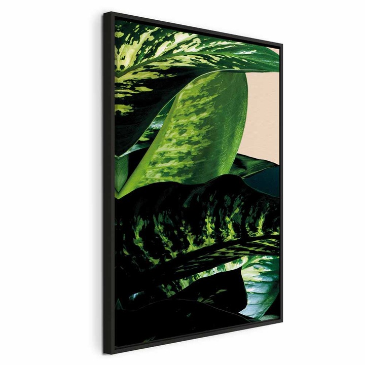 Картина в черна дървена рамка - Дифенбахия - 40 x 60 см